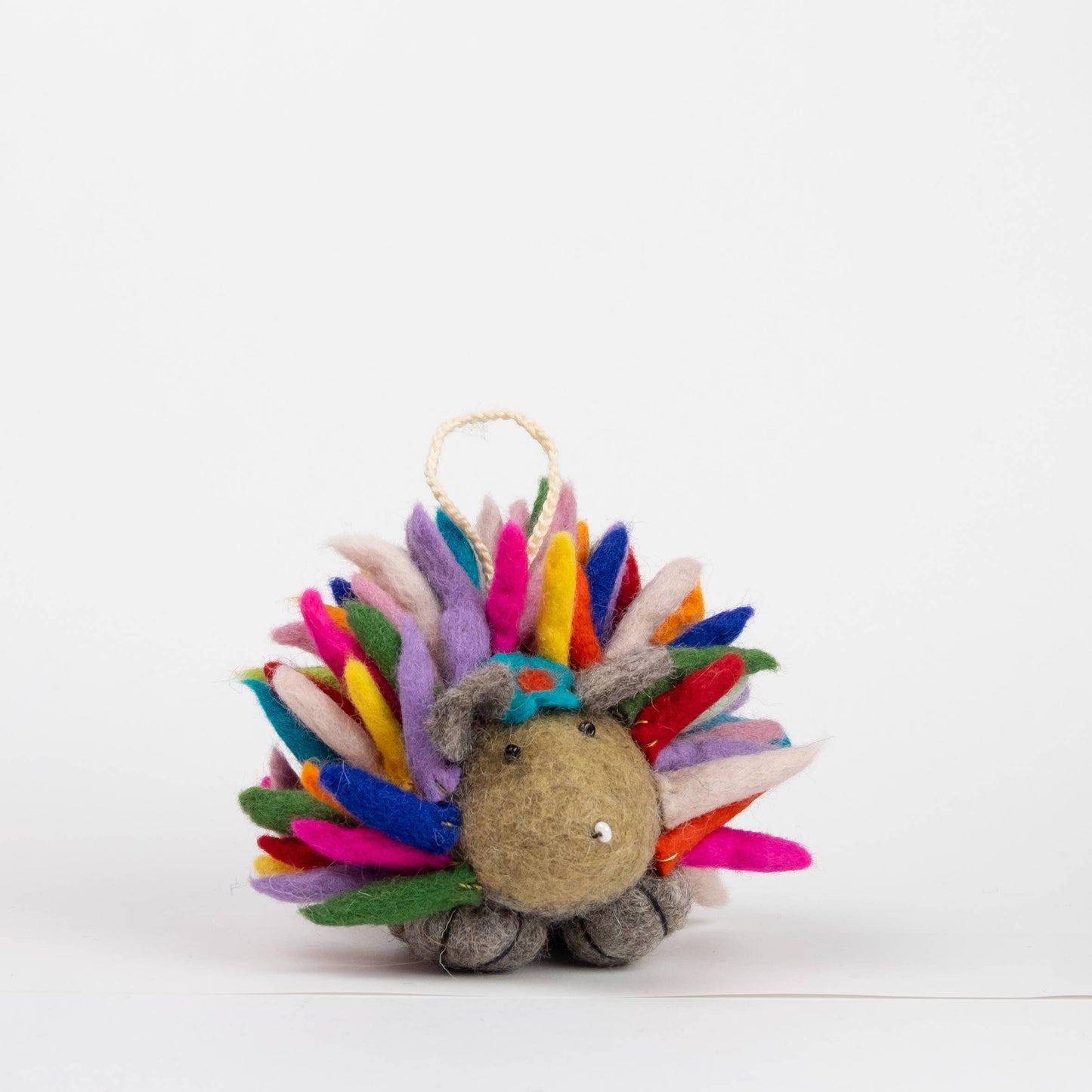 Hedgehog Small Rainbow