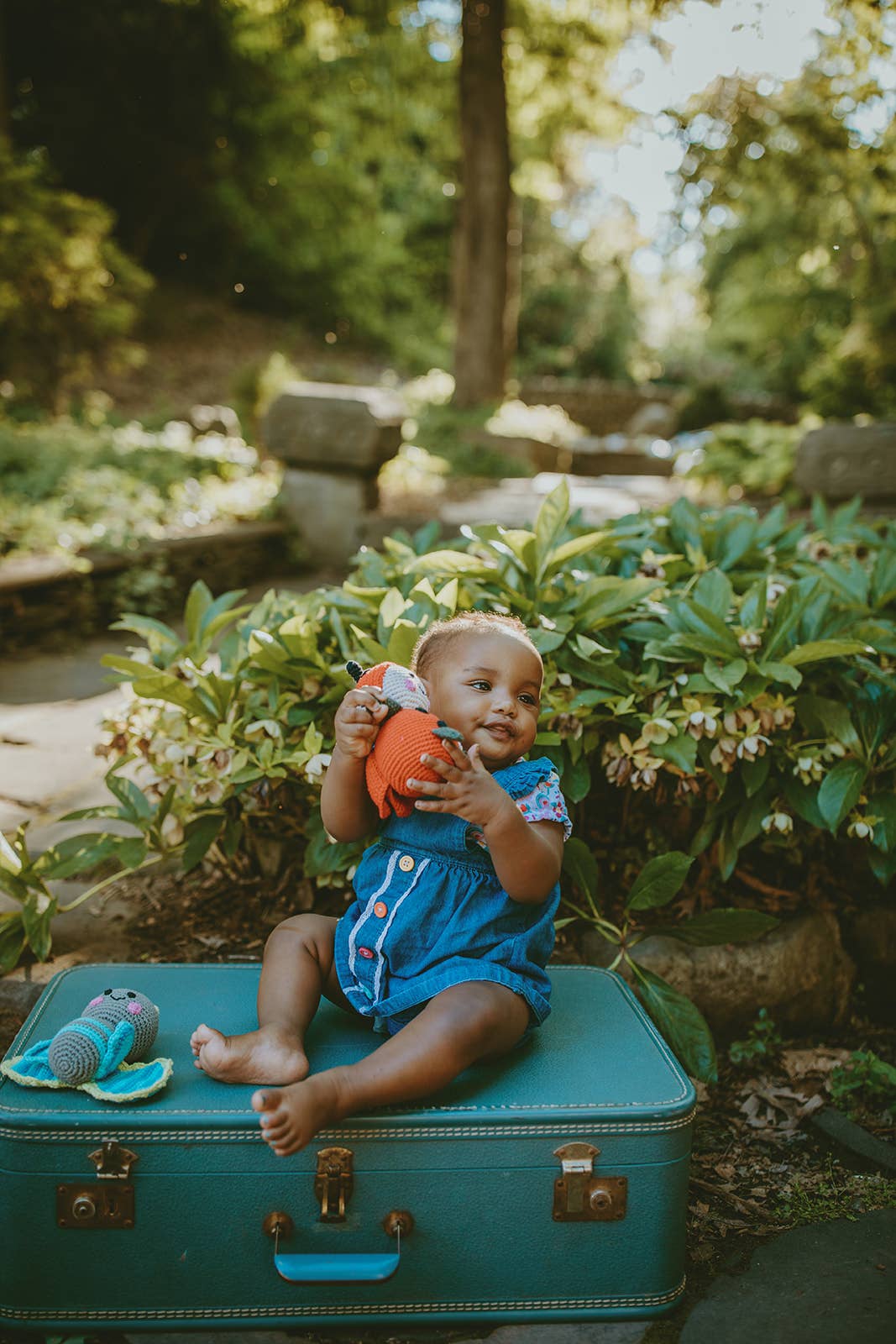 Garden Toy Bug - Lady Bird Rattle