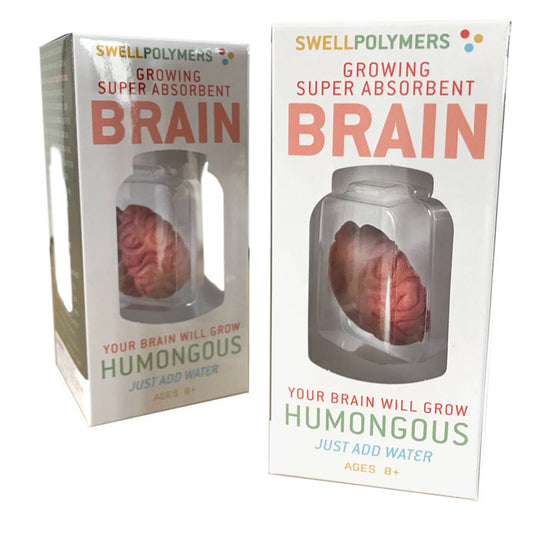 Grow a Brain | Anatomy Model Polymer Brain Science Kit