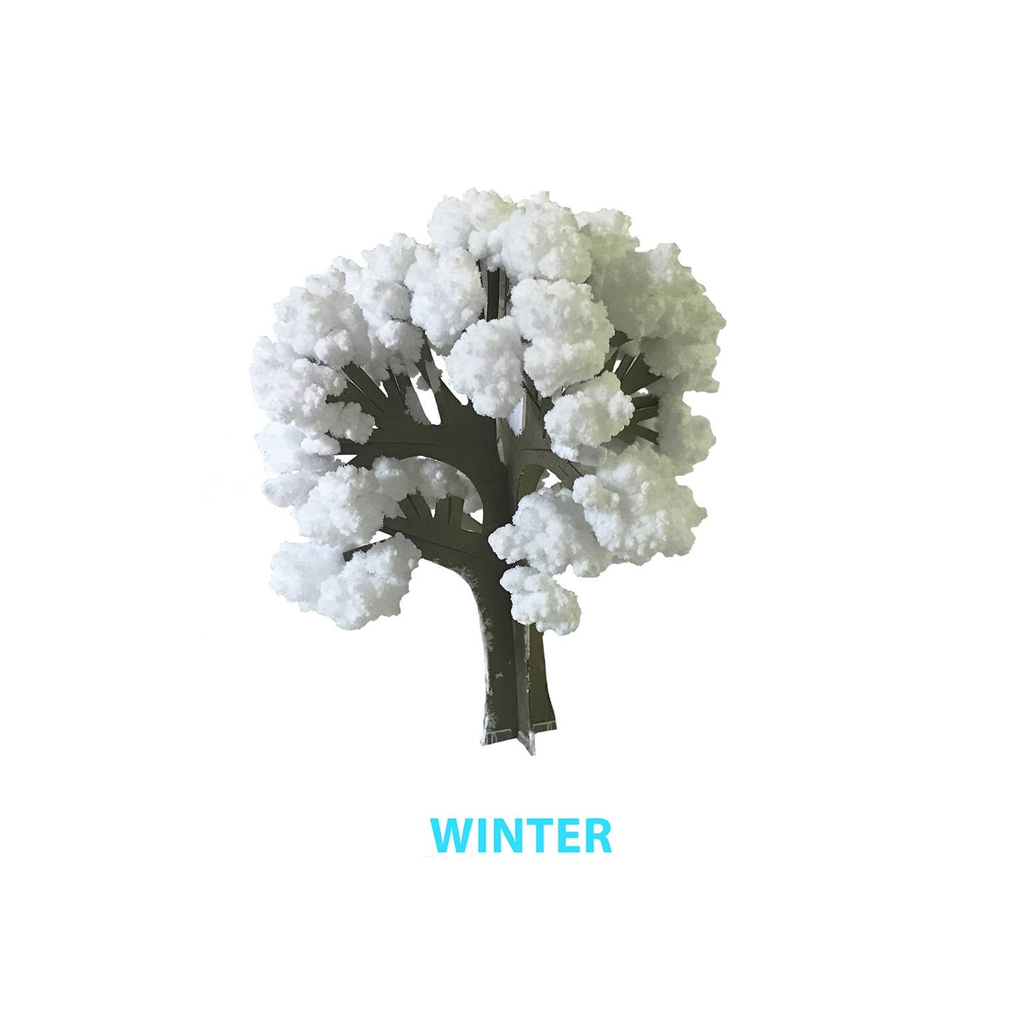 Crystal Growing Seasons | Experience all the seasons today!