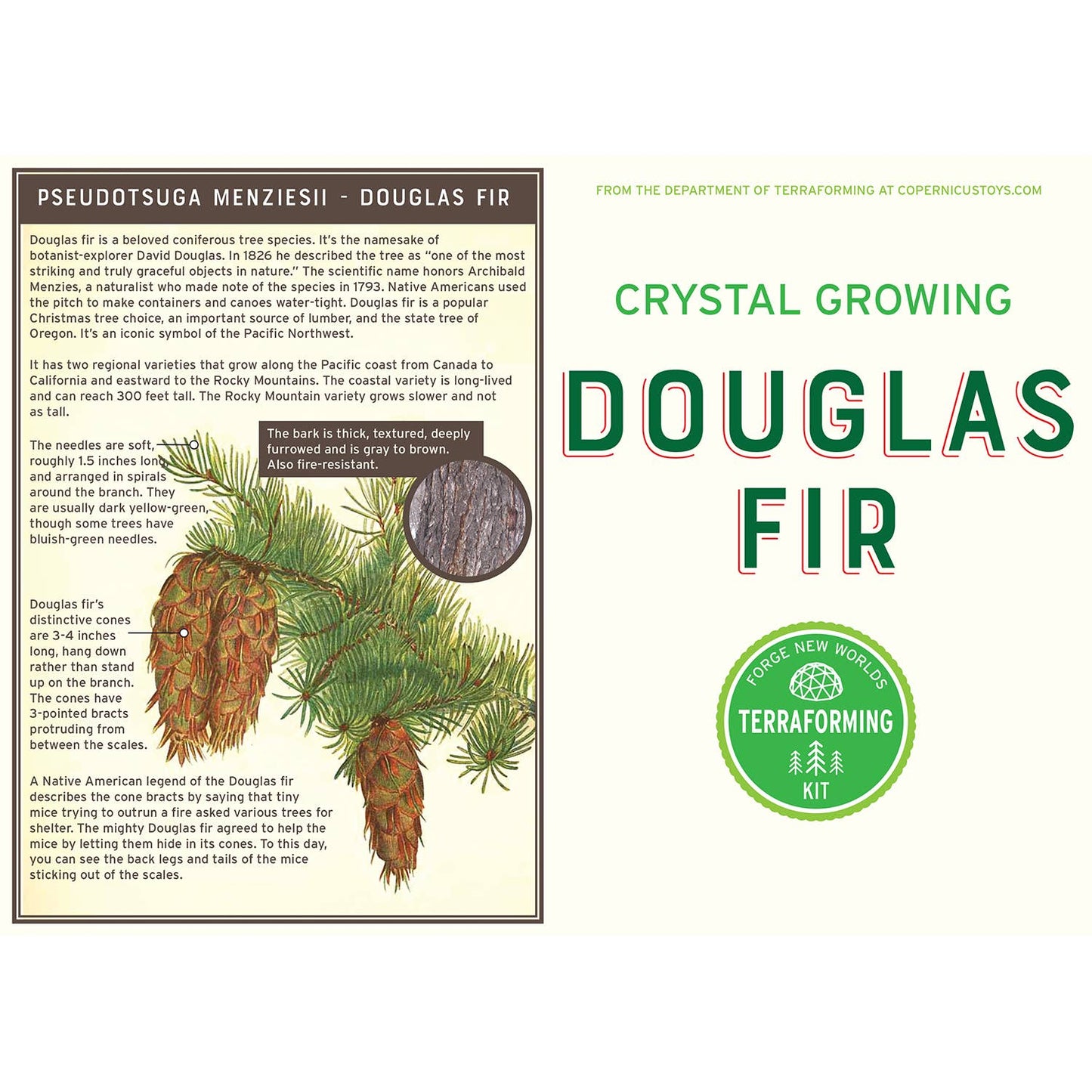 Copernicus Toys - Crystal Growing Douglas Fir |
Craft Kit Science Kit