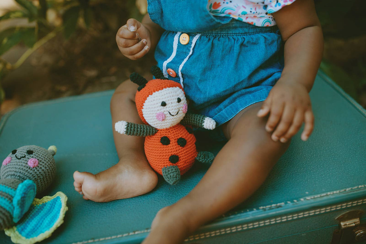 Garden Toy Bug - Lady Bird Rattle