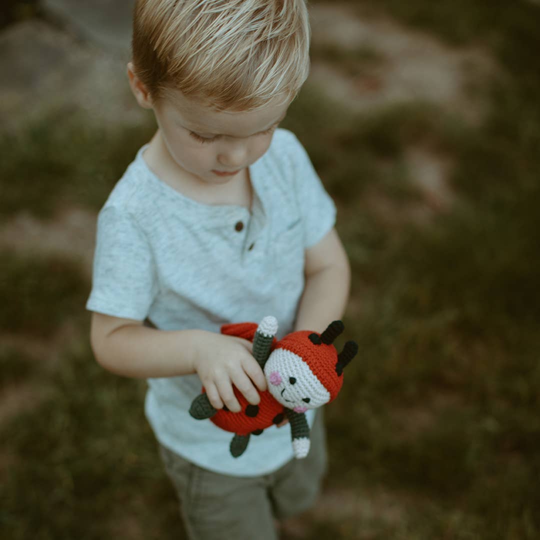 Garden Toy Bug - Lady Bird Rattle