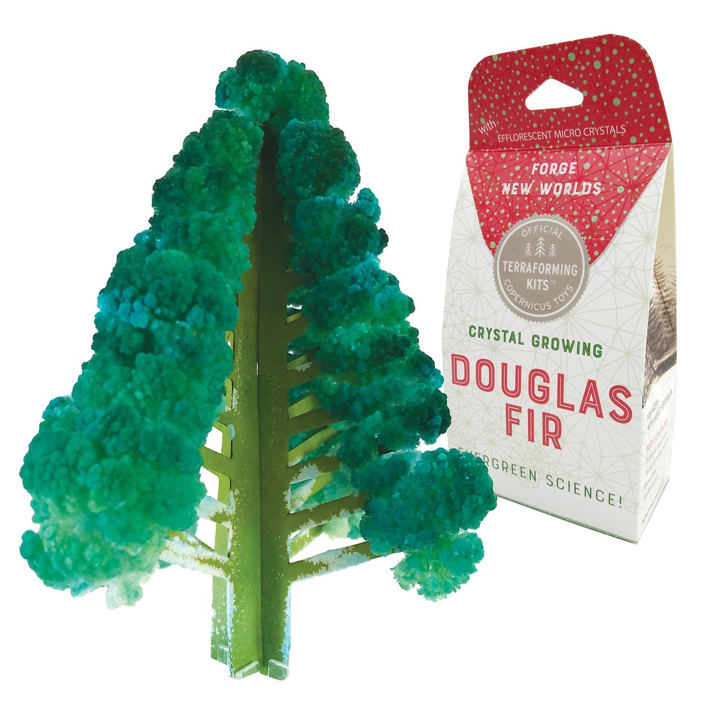 Copernicus Toys - Crystal Growing Douglas Fir |
Craft Kit Science Kit