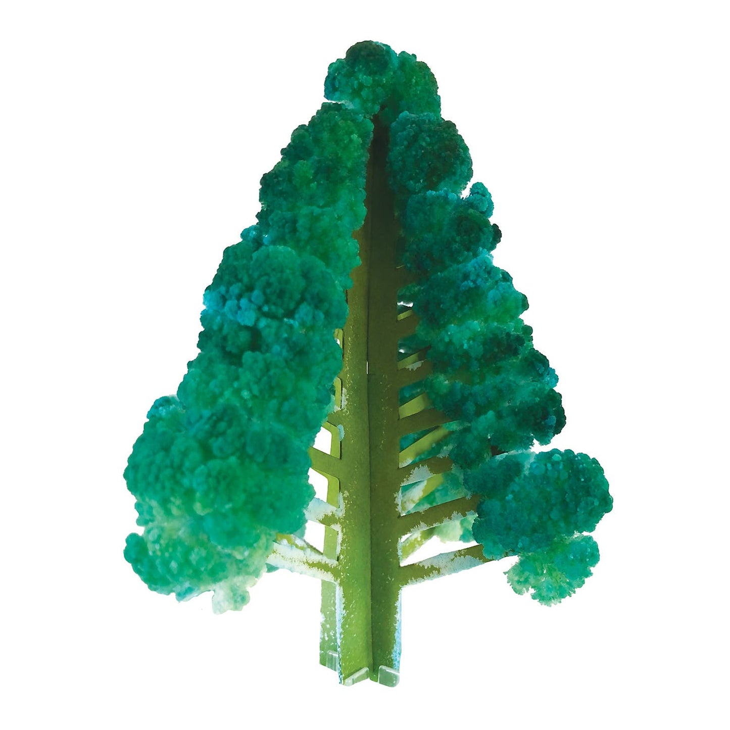 Copernicus Toys - Crystal Growing Douglas Fir |
Craft Kit Science Kit