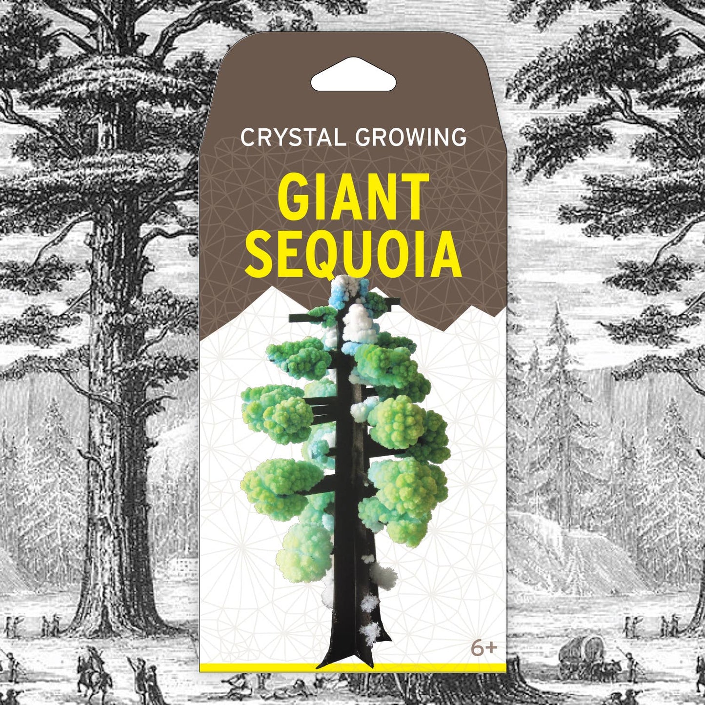 Copernicus Toys - Crystal Growing Giant Sequoia | 
Craft Kit Science Kit