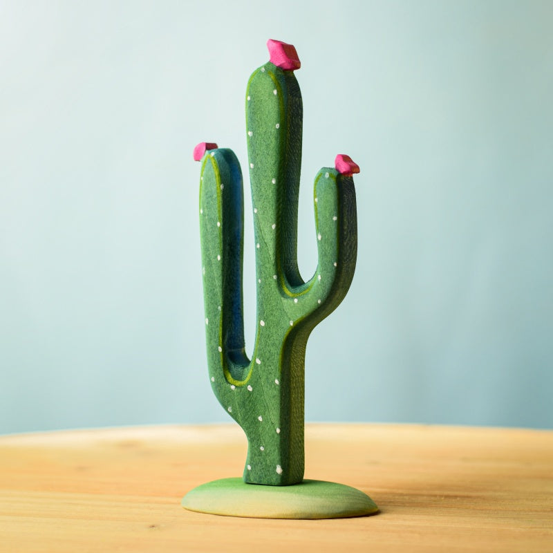 Cacti SET