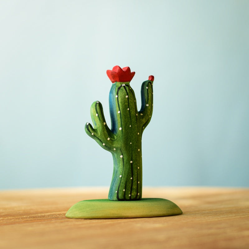 Cacti SET