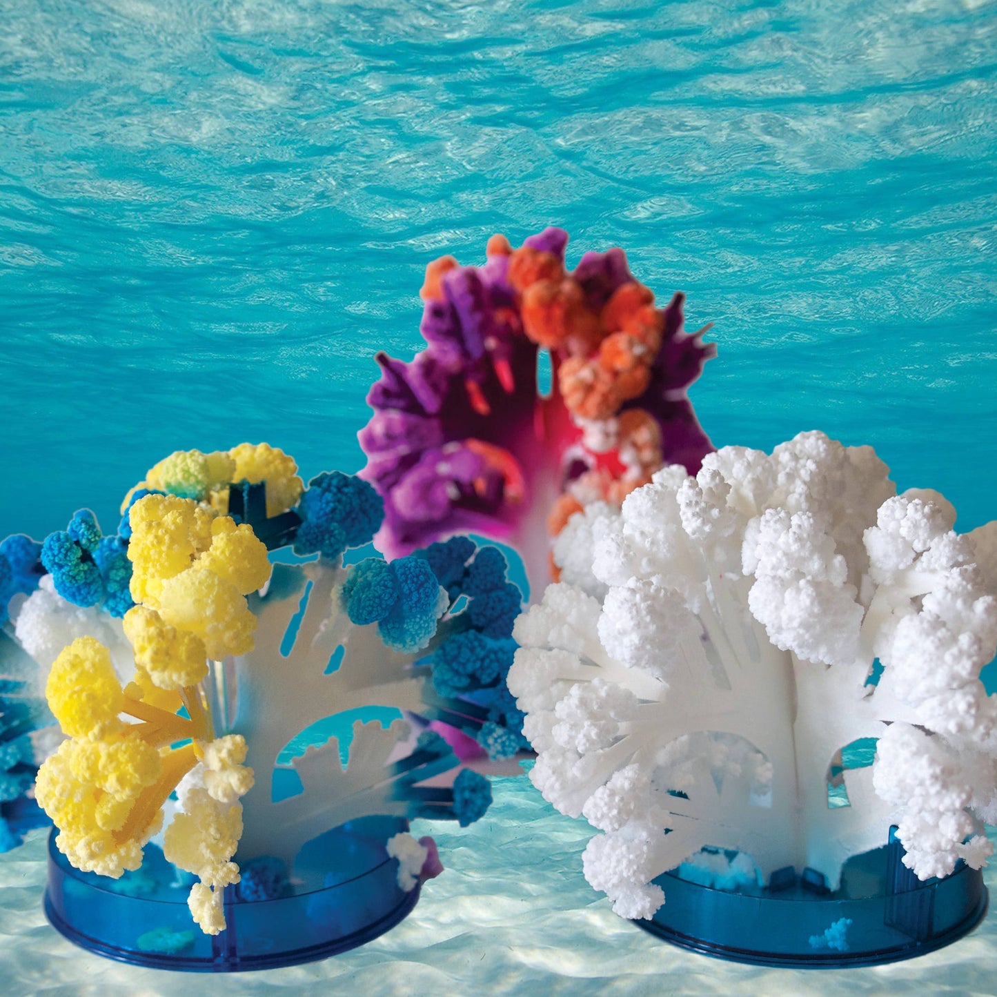 Copernicus Toys - Crystal Growing Coral Reef | 
Craft Kit Science Kit