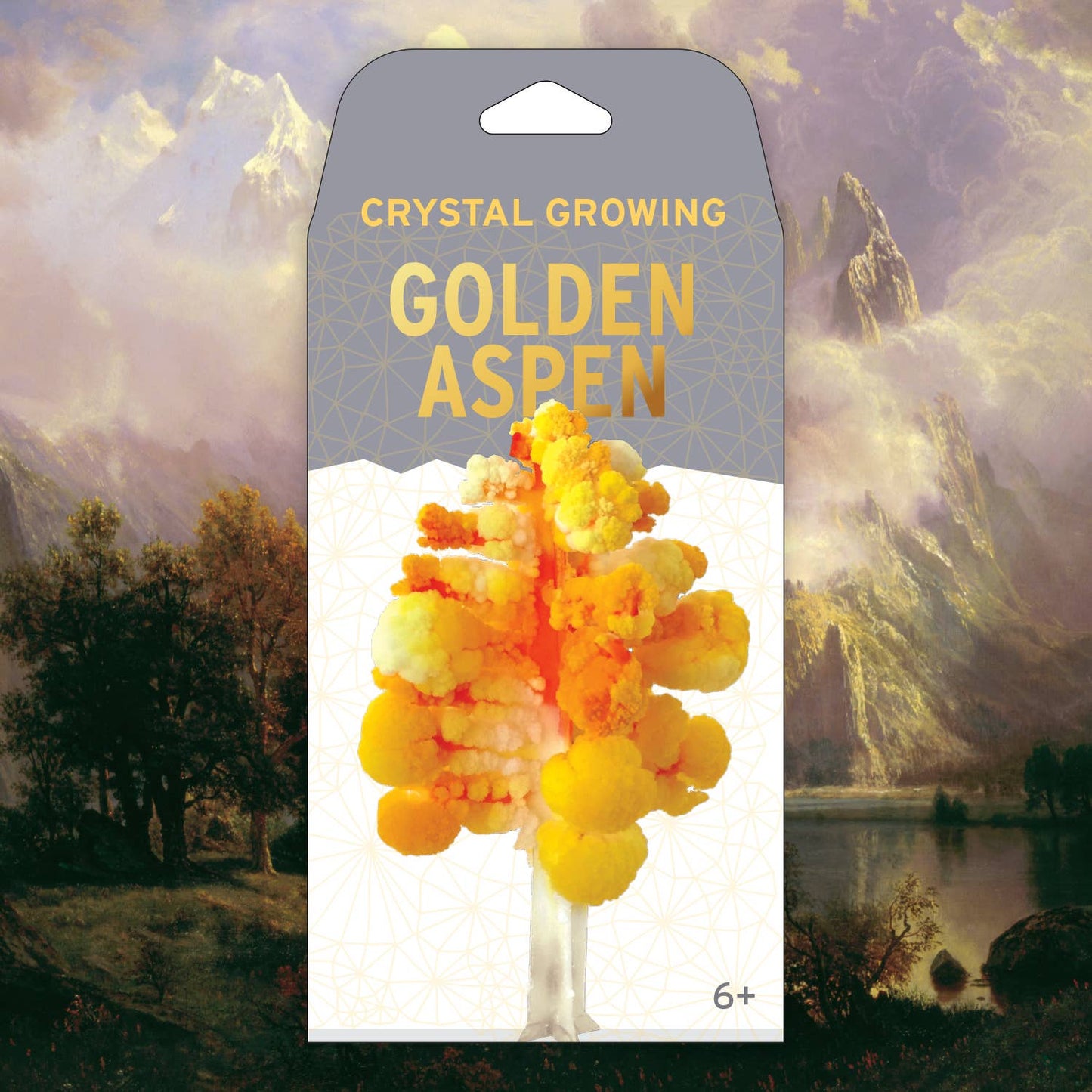 Copernicus Toys - Crystal Growing Aspen | 
Craft Kit Science Kit Fall Craft