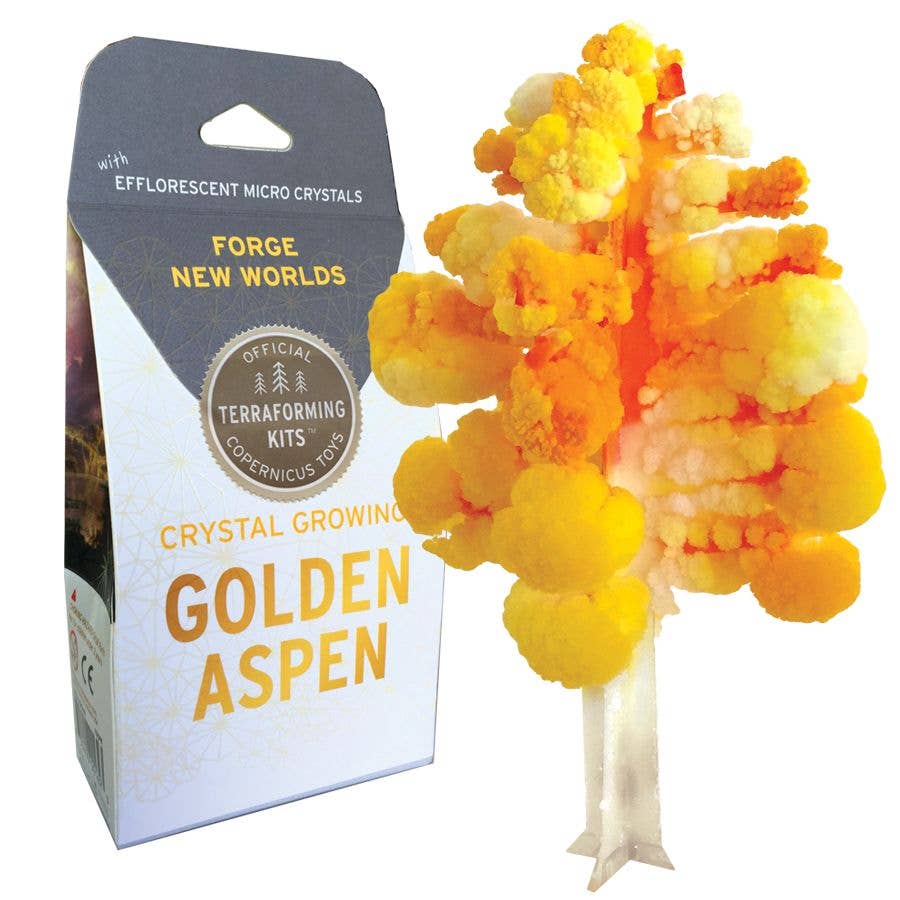 Copernicus Toys - Crystal Growing Aspen | 
Craft Kit Science Kit Fall Craft