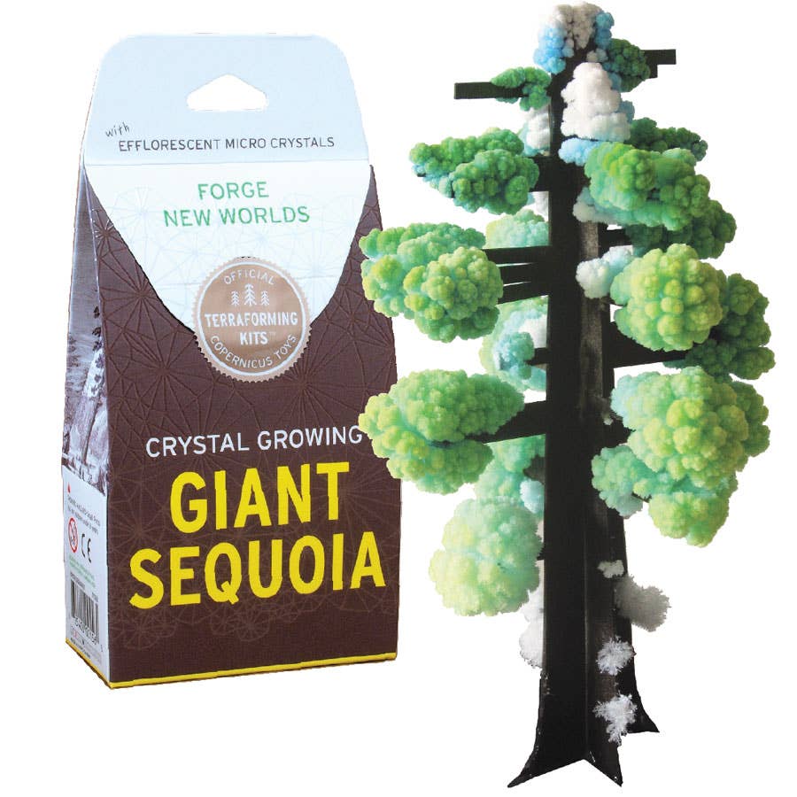 Copernicus Toys - Crystal Growing Giant Sequoia | 
Craft Kit Science Kit