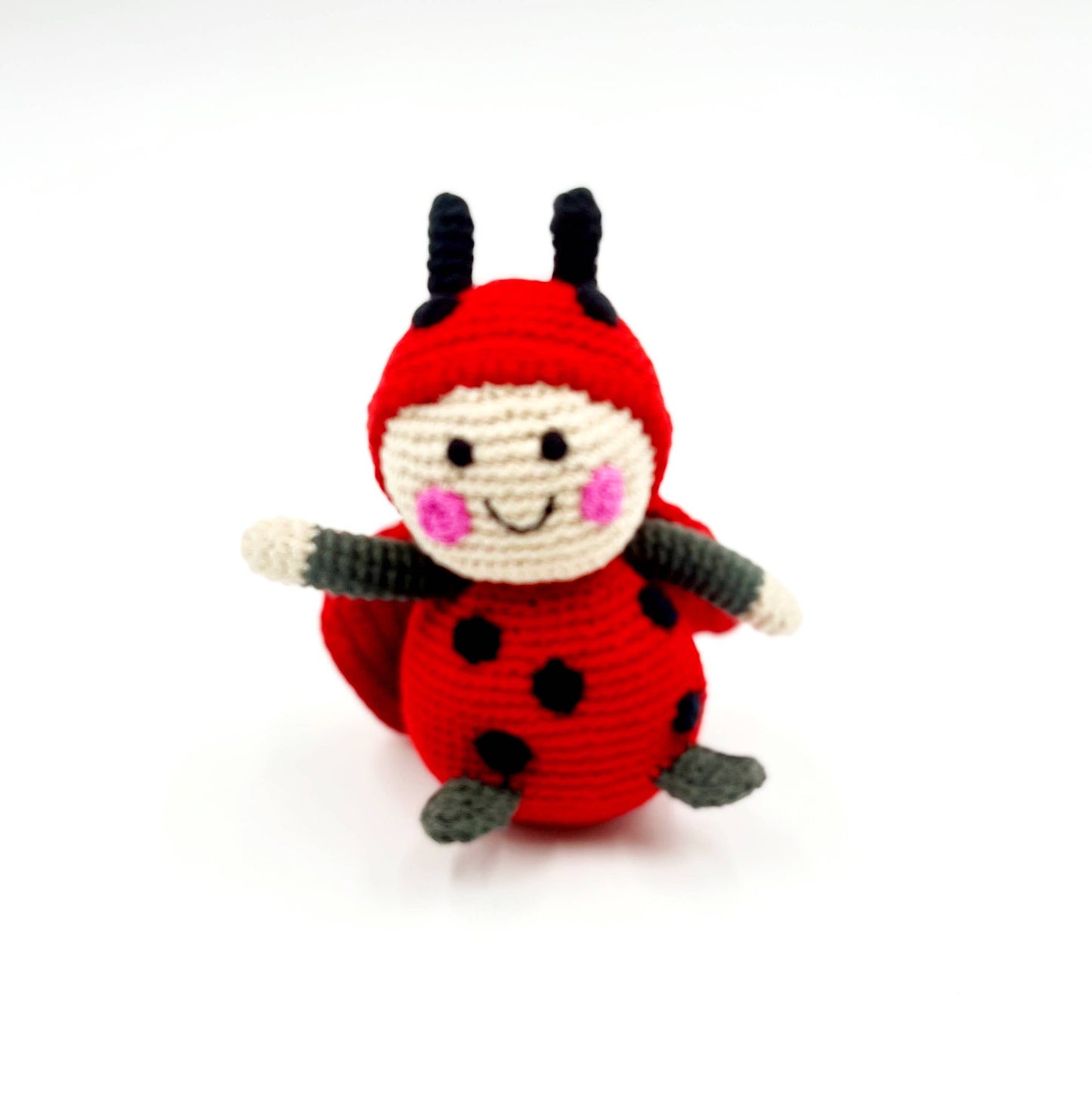 Garden Toy Bug - Lady Bird Rattle