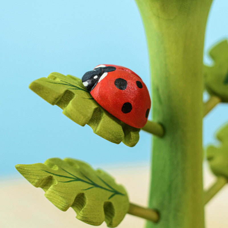 Ladybug