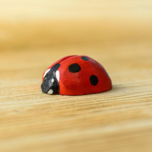 Ladybug